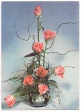 #carte postala(marca fixa)-FLORI-Garoafe