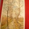 Ilustrata -Pictura -Primavara de M.Jacobi ,circ.20 C Pro Juventute 1935 Elvetia