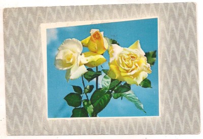 #carte postala(marca fixa)-FLORI foto