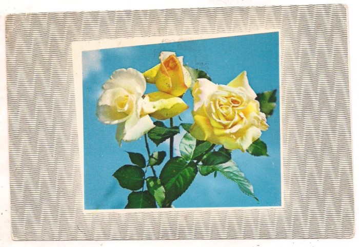 #carte postala(marca fixa)-FLORI