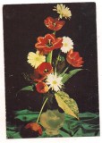 #carte postala(marca fixa)-FLORI