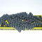 Lant 420/108 Mopeduri/ATV