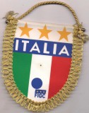 Fanion-FEDEREATIA ITALIANA DE FOTBAL