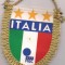 fanion-FEDEREATIA ITALIANA DE FOTBAL