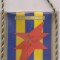 fanion-F.C. LUCEAFARUL