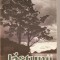 (C4887) LASTUNII DE D. MANOILEANU, EDITURA CARTEA ROMANEASCA, 1982