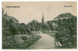 785 - SFANTU GHEORGHE, Covasna, Park - old postcard - unused, Necirculata, Printata