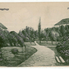 785 - SFANTU GHEORGHE, Covasna, Park - old postcard - unused
