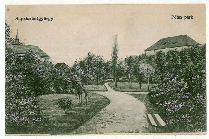 785 - SFANTU GHEORGHE, Covasna, Park - old postcard - unused