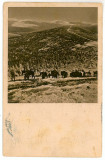 1074 - Transilvania, Forest 7 Judecatori - old postcard - used - 1916, Circulata, Printata