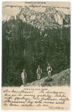 206 - Muntii VISANTI, shepherds - old postcard - used - 1906, Circulata, Printata