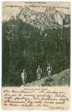 206 - Muntii VISANTI, shepherds - old postcard - used - 1906