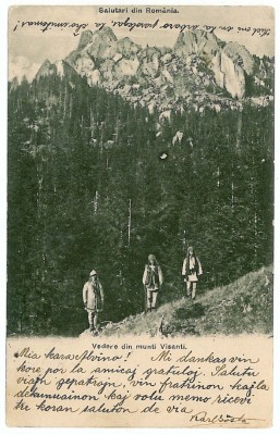 206 - Muntii VISANTI, shepherds - old postcard - used - 1906 foto