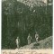 206 - Muntii VISANTI, shepherds - old postcard - used - 1906