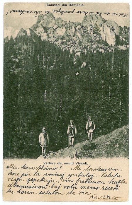 206 - Muntii VISANTI, shepherds - old postcard - used - 1906
