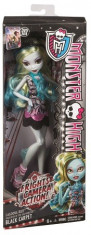 Papusa Monster High covorul negru-EGEBDF22 foto