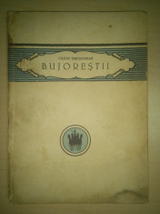 Bujorestii - Caton Theodorian ( editia a doua, editura Cultura Nationala, 1924, rara ) foto