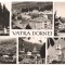 #carte postala(ilustrata)-VATRA DORNEI-colaj