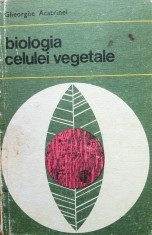 BIOLOGIA CELULEI VEGETALE - Gheorghe Acatrinei foto