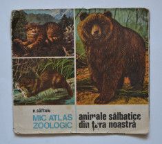 MIC ATLAS ZOOLOGIC ANIMALE SALBATICE DIN TARA NOASTRA - N. Saftoiu - 1986 foto