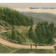 1859 - Pasul PRISLOP, Maramures, cart - old postcard - used