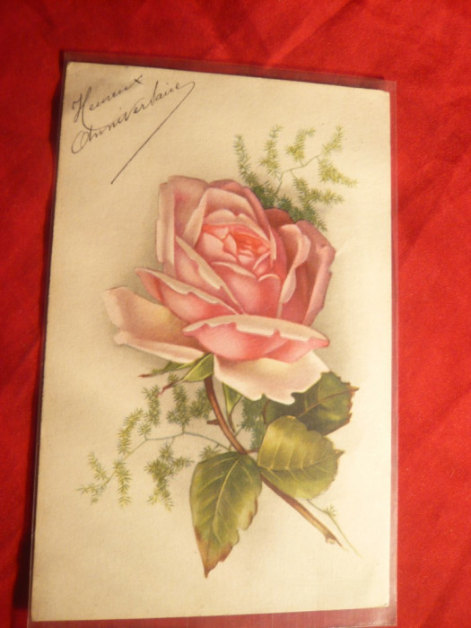 Ilustrata - Flori - Trandafir , veche