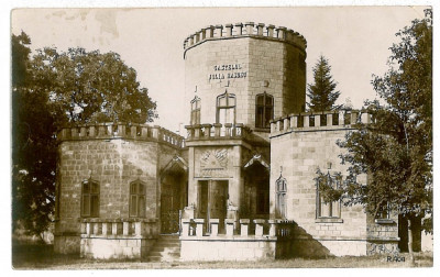 113 - CAMPINA, Prahova, Iulia Hasdeu Castle - old postcard - unused foto