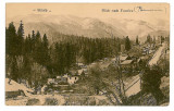 57 - SINAIA, Prahova, ved. generala - old postcard - unused