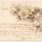 #carte postala(ilustrata)-FLORI