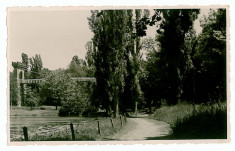 109 - Dolj, CRAIOVA, parcul Bibescu - old postcard, real PHOTO - unused foto