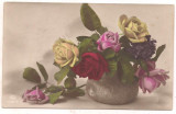 #carte postala(ilustrata)-FLORI-trandafiri anul 1924, Circulata, Printata