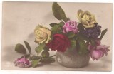 #carte postala(ilustrata)-FLORI-trandafiri anul 1924