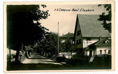 117 - CAMPINA, Prahova, Elisabeth Ave. - old postcard, real PHOTO - used - 1941 foto