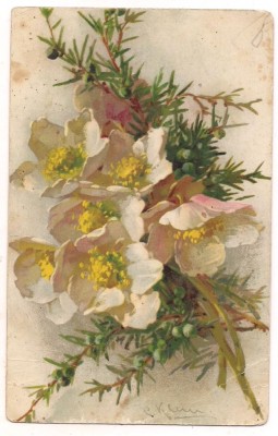 #carte postala(ilustrata)-FLORI- anul 1929 foto