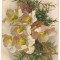 #carte postala(ilustrata)-FLORI- anul 1929