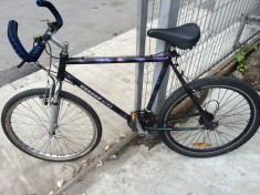 Bicicleta Condor foto