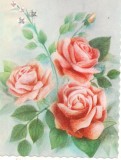 #carte postala(ilustrata)-FLORI-trandafiri