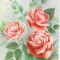 #carte postala(ilustrata)-FLORI-trandafiri