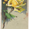 #carte postala(ilustrata)-FLORI-trandafiri anul 1919