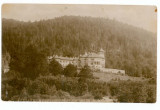 119 - BUSTENI, Prahova, Castelul CANTACUZINO - old postcard - unused, Necirculata, Fotografie
