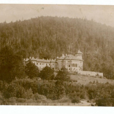 119 - BUSTENI, Prahova, Castelul CANTACUZINO - old postcard - unused