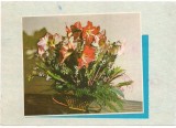 #carte postala(marca fixa)-FLORI