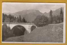 MOROENI DAMBOVITA PODUL 1943 foto