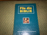 FILE DIN BIBLIE, Alta editura