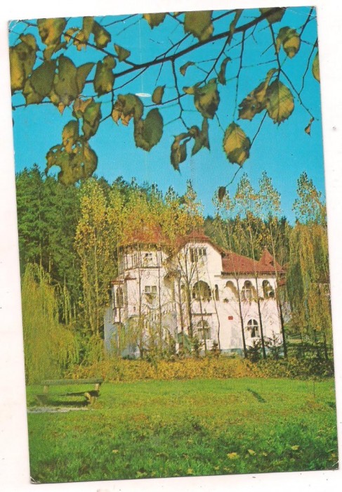 #carte postala(ilustrata)-Singeorz-bai-vila Doina