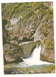 #carte postala(ilustrata)-STANA DE VALE-Cascada Iadolina, Circulata, Printata