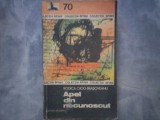 APEL DIN NECUNOSCUT RODICA OJOG BRASOVEANU , C9-427