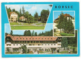#carte postala(ilustrata)-BORSEC-Sanatoriul balnear