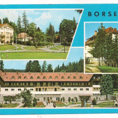 #carte postala(ilustrata)-BORSEC-Sanatoriul balnear