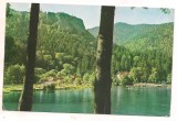 #carte postala(ilustrata)-TUSNAD-Lacul Ciucas, Circulata, Printata